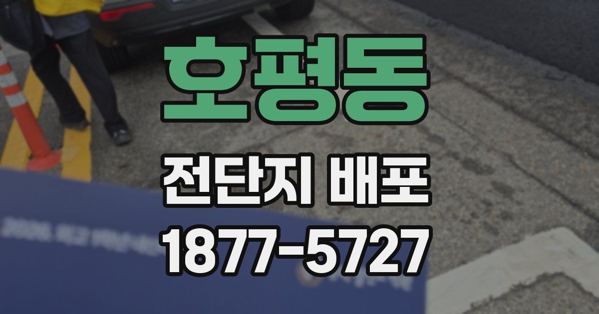 호평동 전단지 배포