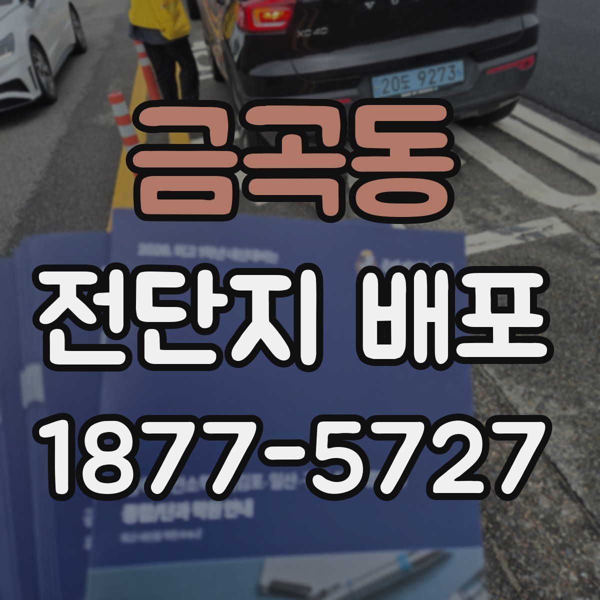 금곡동 전단지 배포