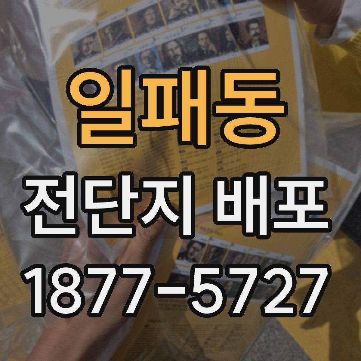 일패동 전단지 배포