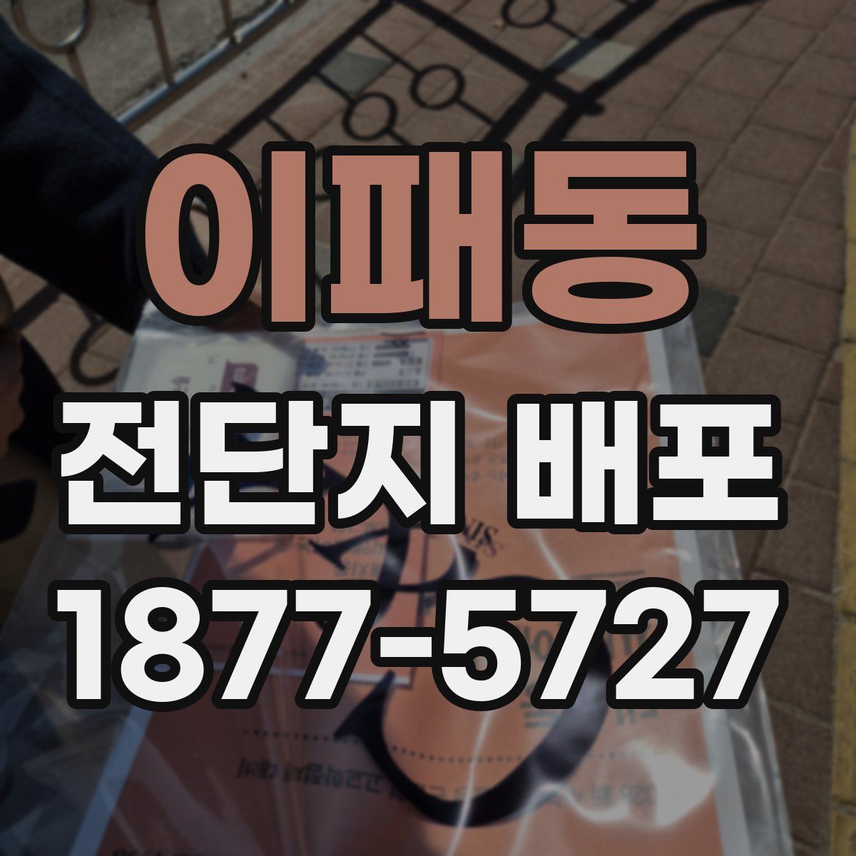 이패동 전단지 배포