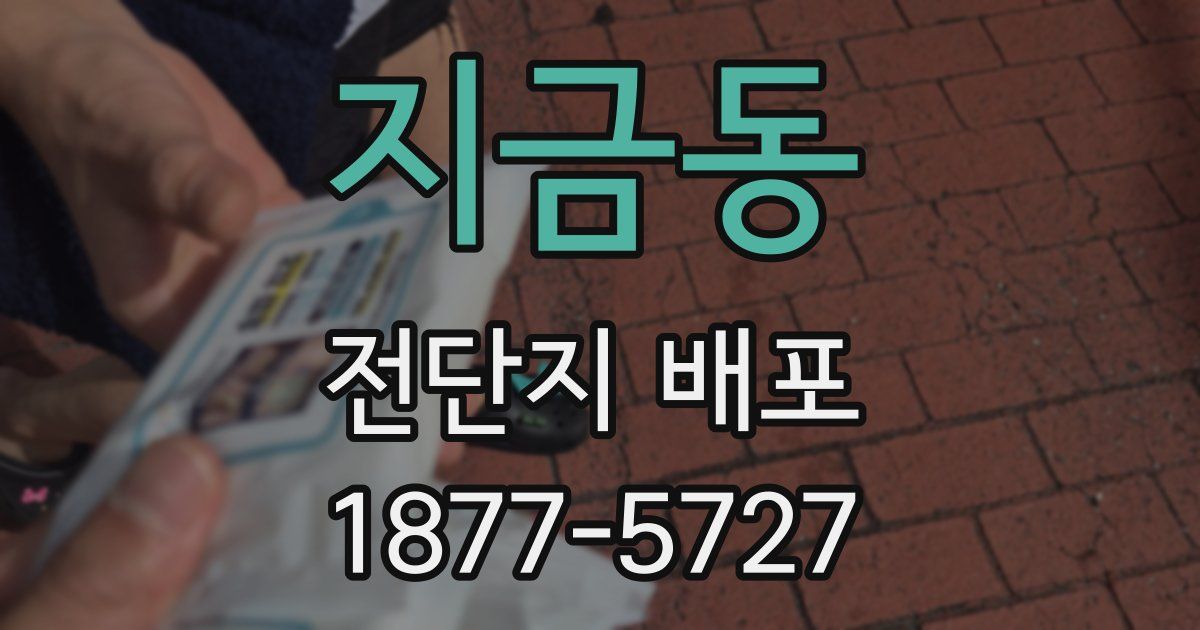 지금동 전단지 배포