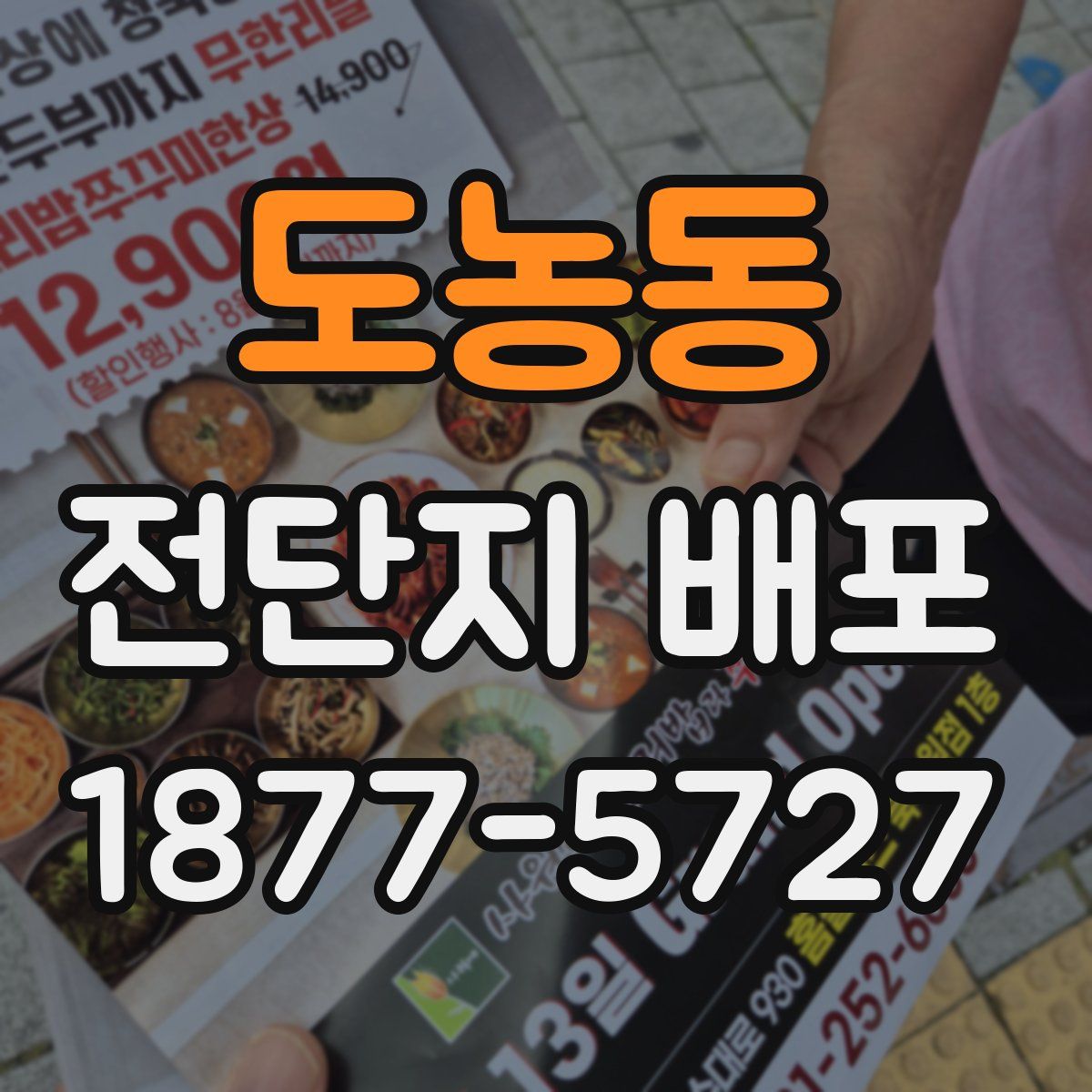 도농동 전단지 배포