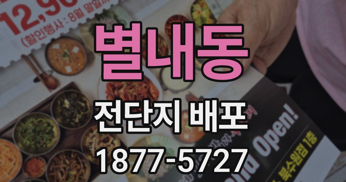 별내동 전단지 배포