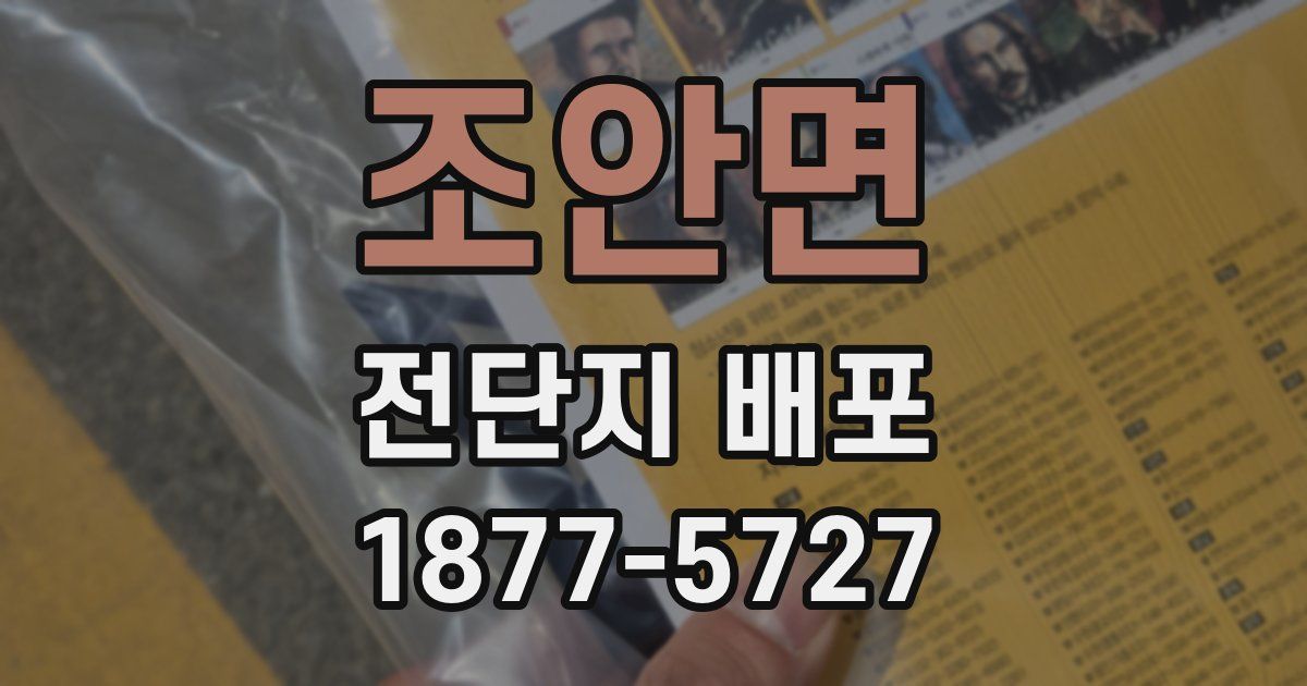 조안면 전단지 배포