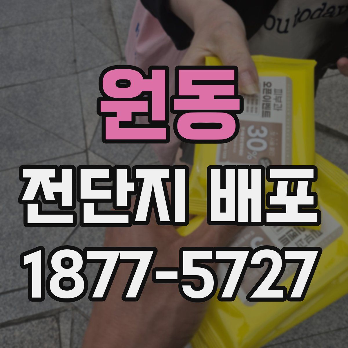 원동 전단지 배포