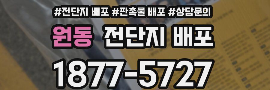 원동 전단지 배포