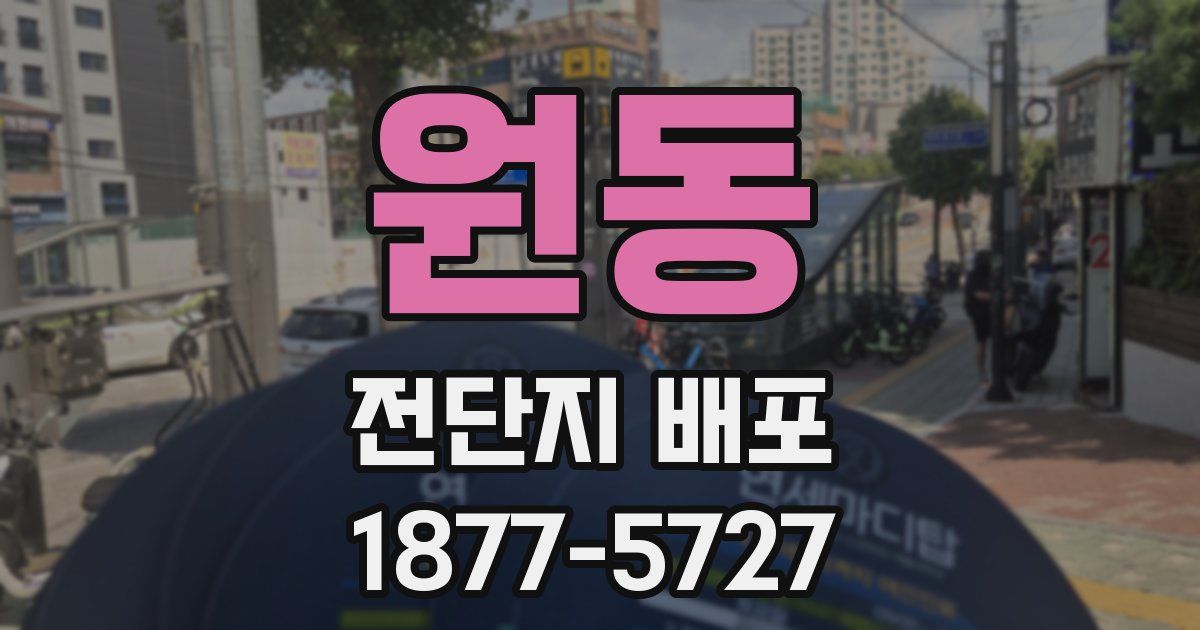 원동 전단지 배포