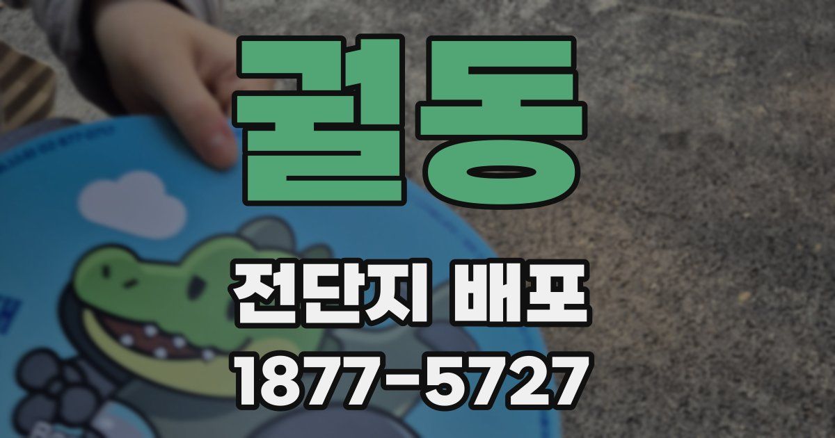 궐동 전단지 배포