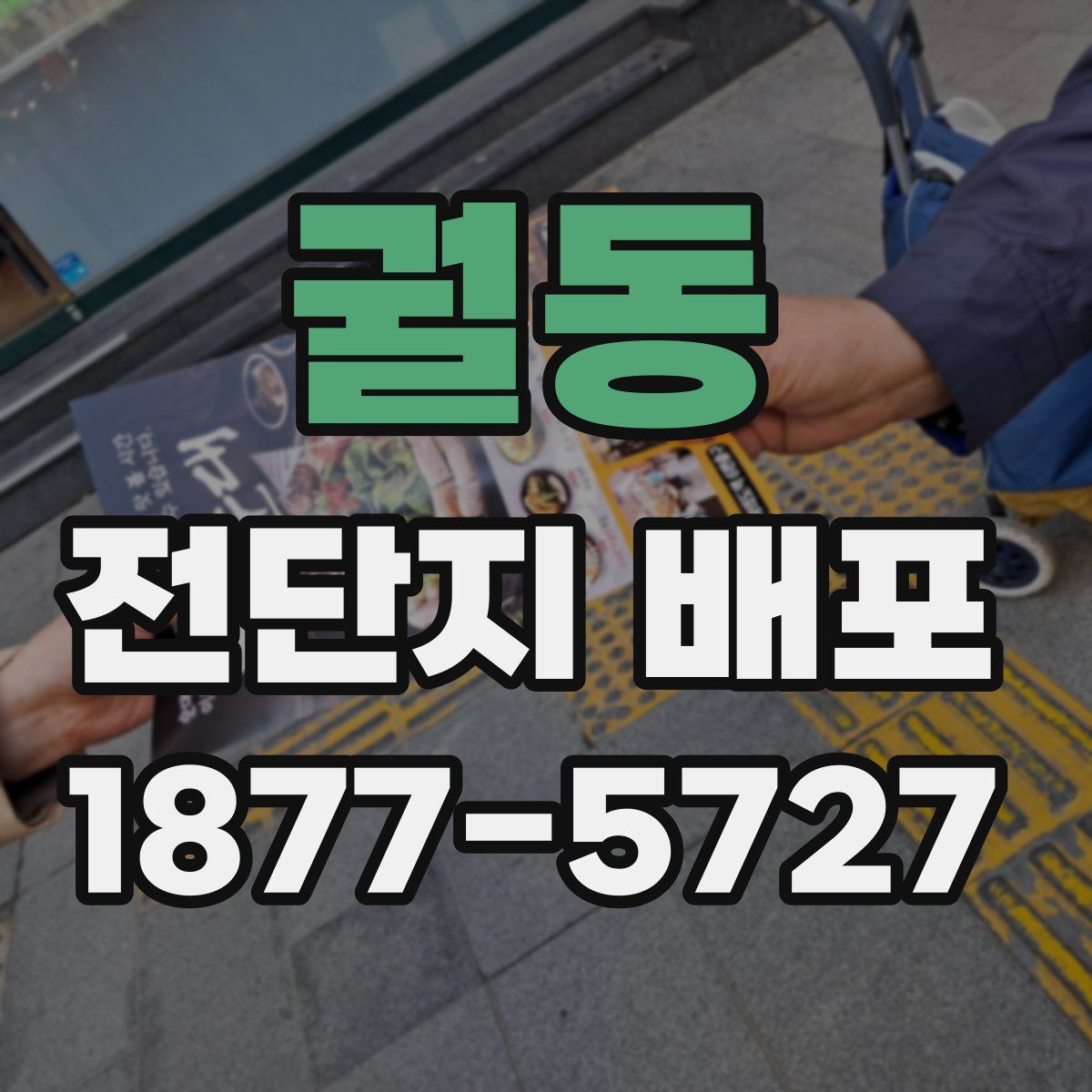 궐동 전단지 배포