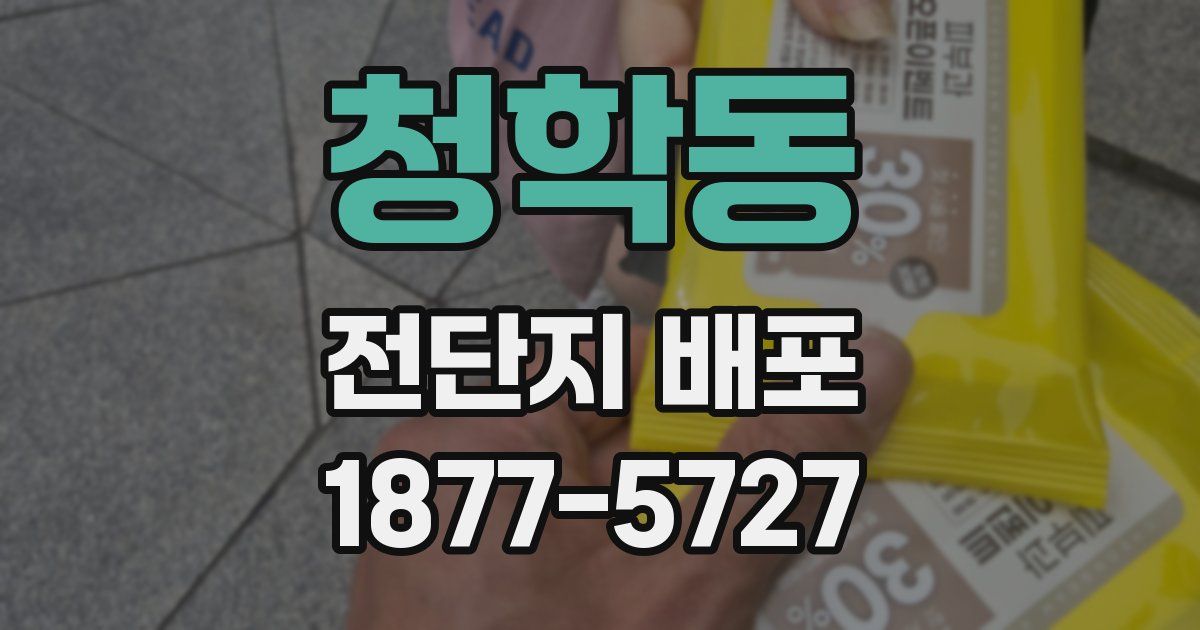 청학동 전단지 배포