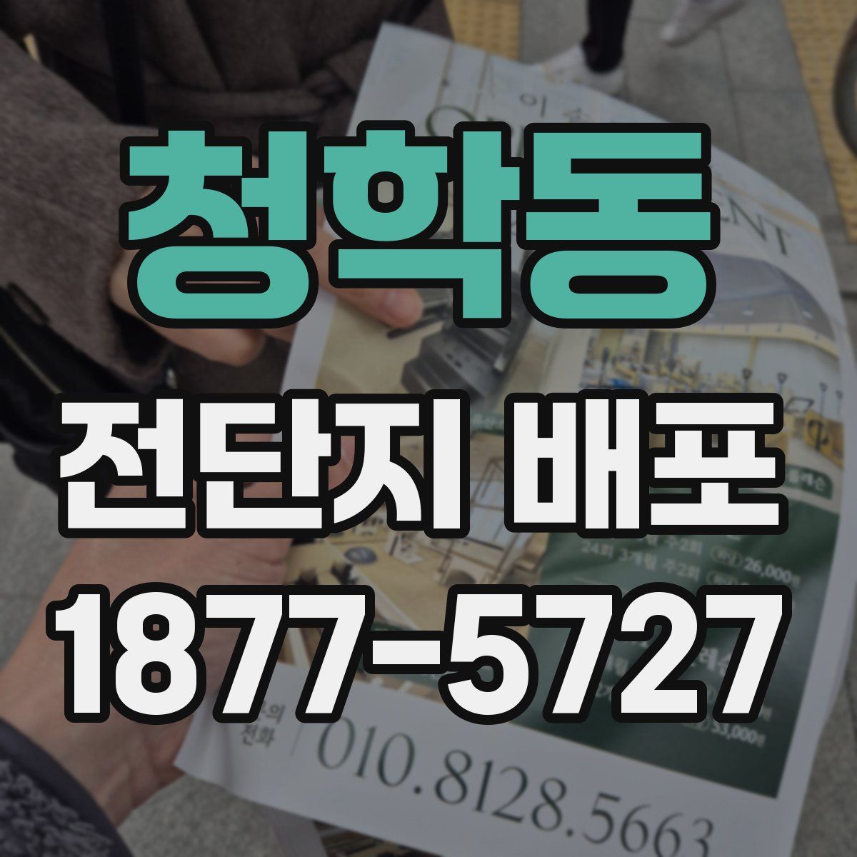 청학동 전단지 배포