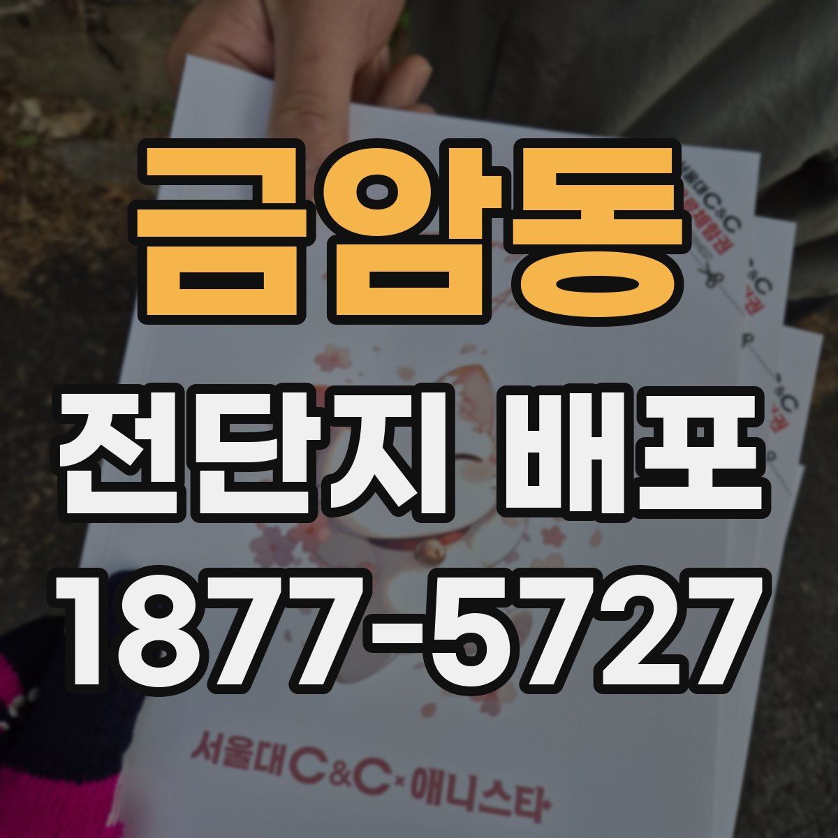 금암동 전단지 배포