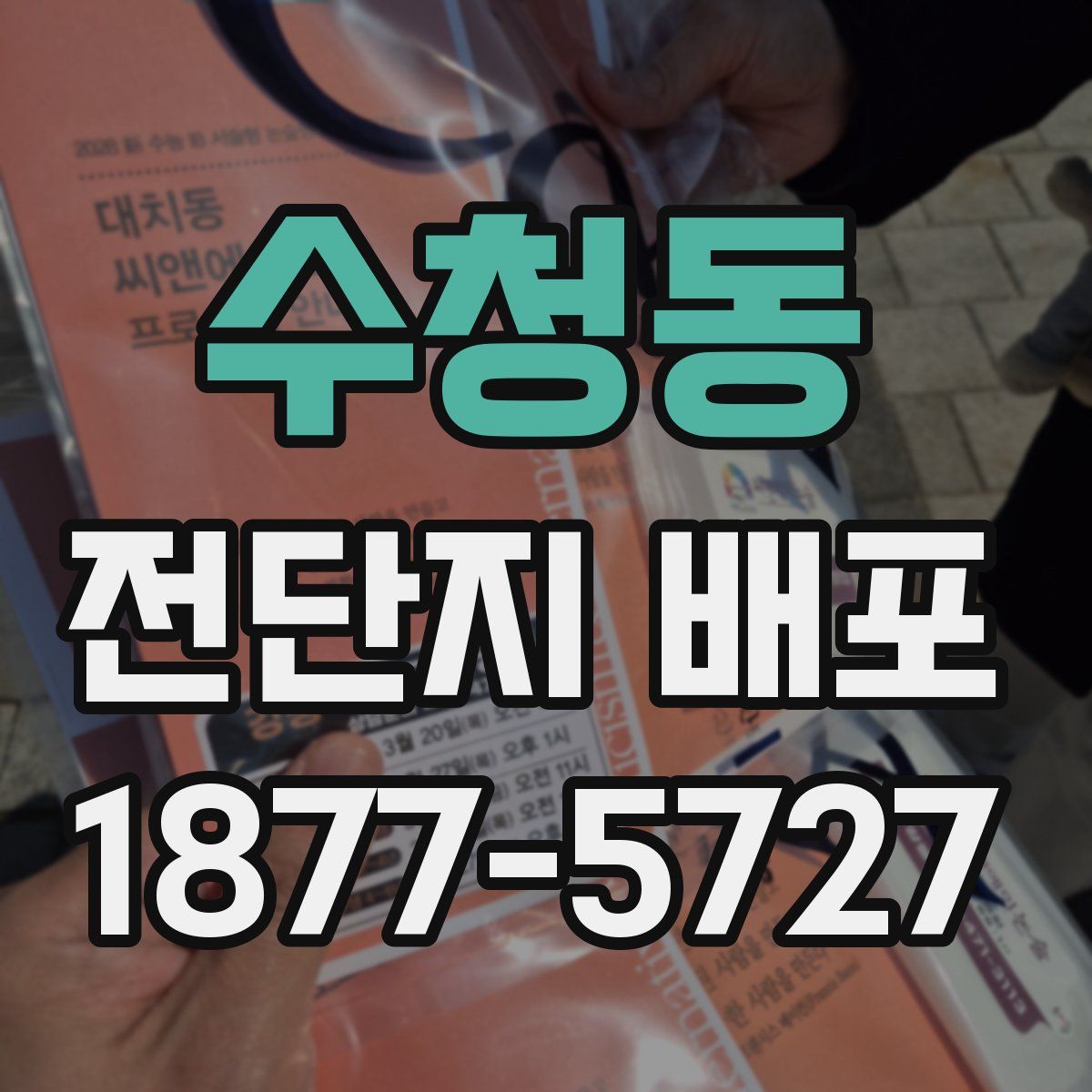 수청동 전단지 배포