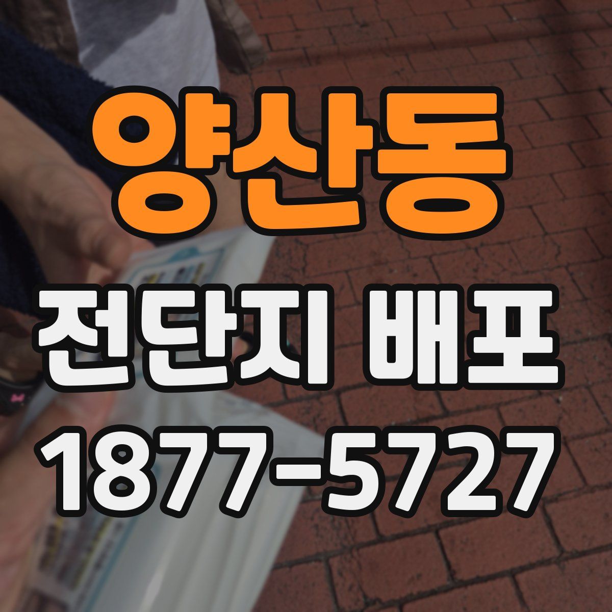 양산동 전단지 배포