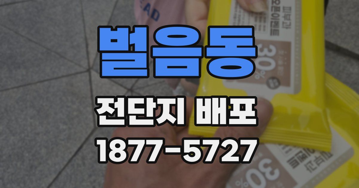 벌음동 전단지 배포