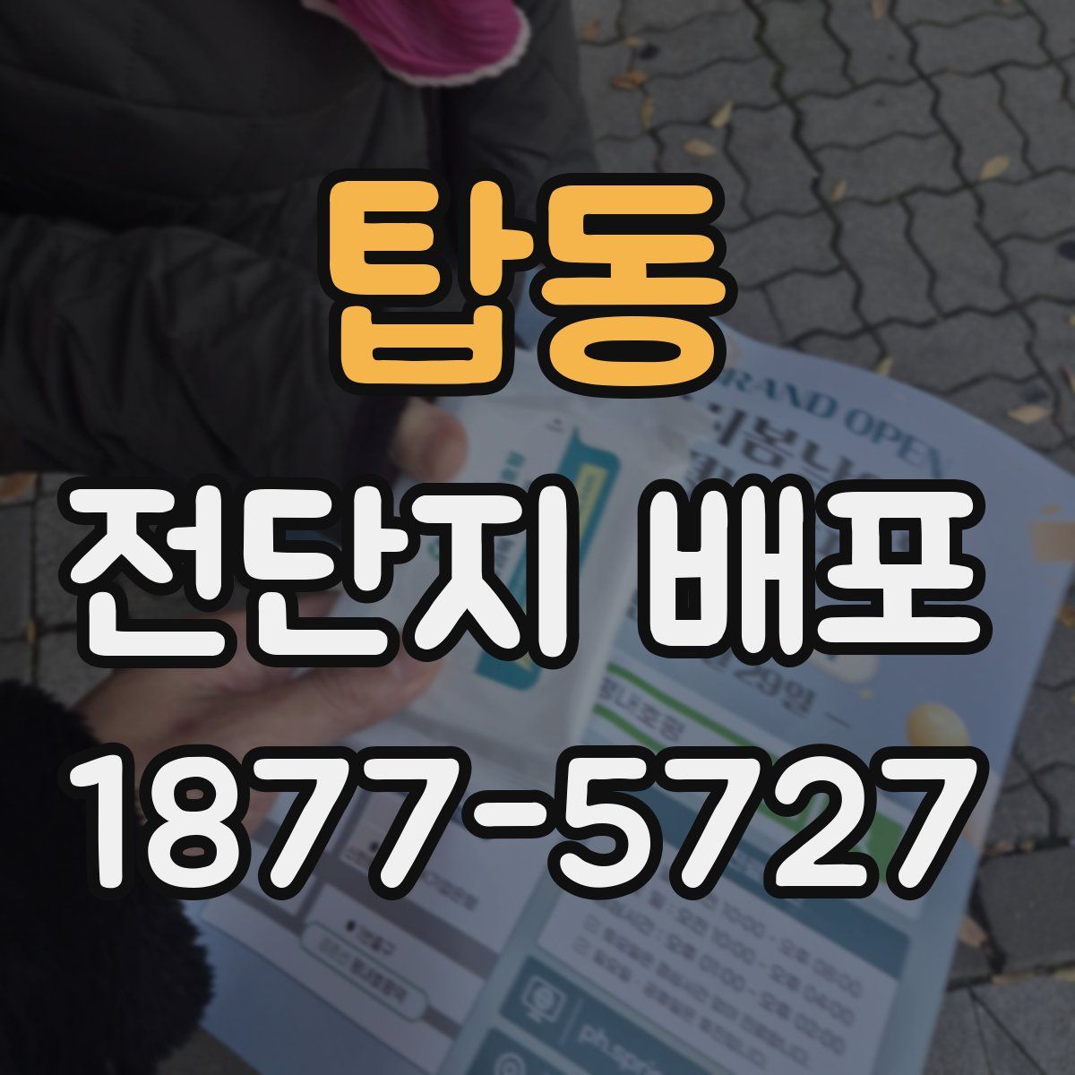 탑동 전단지 배포