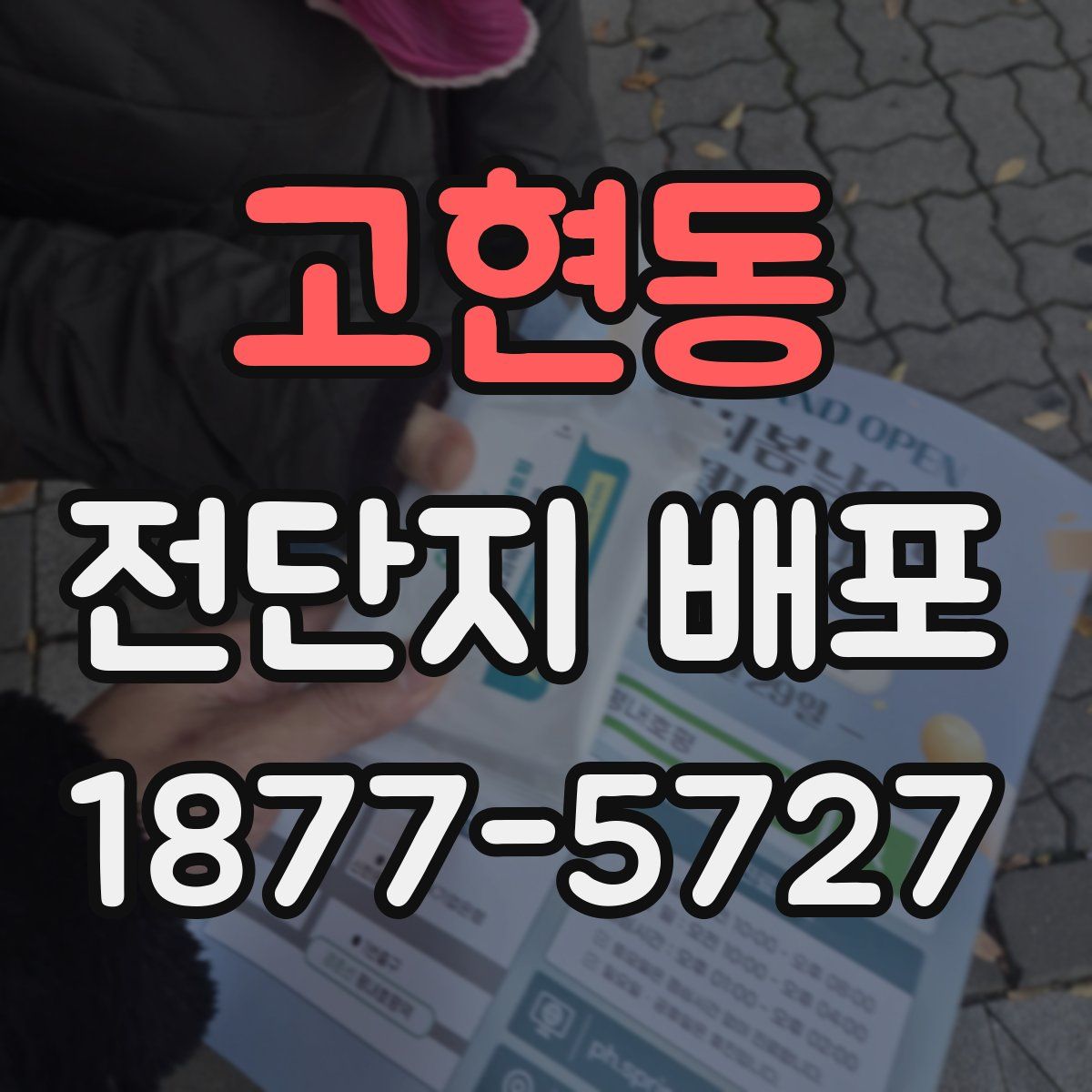 고현동 전단지 배포