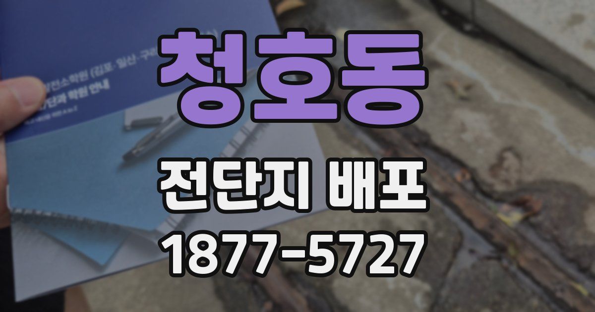 청호동 전단지 배포