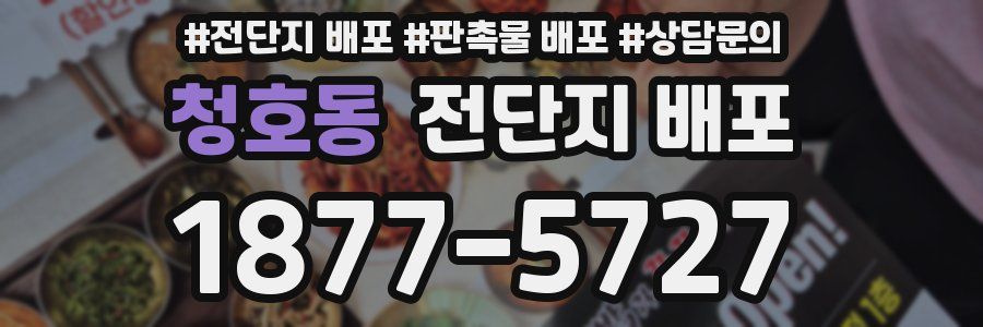 청호동 전단지 배포