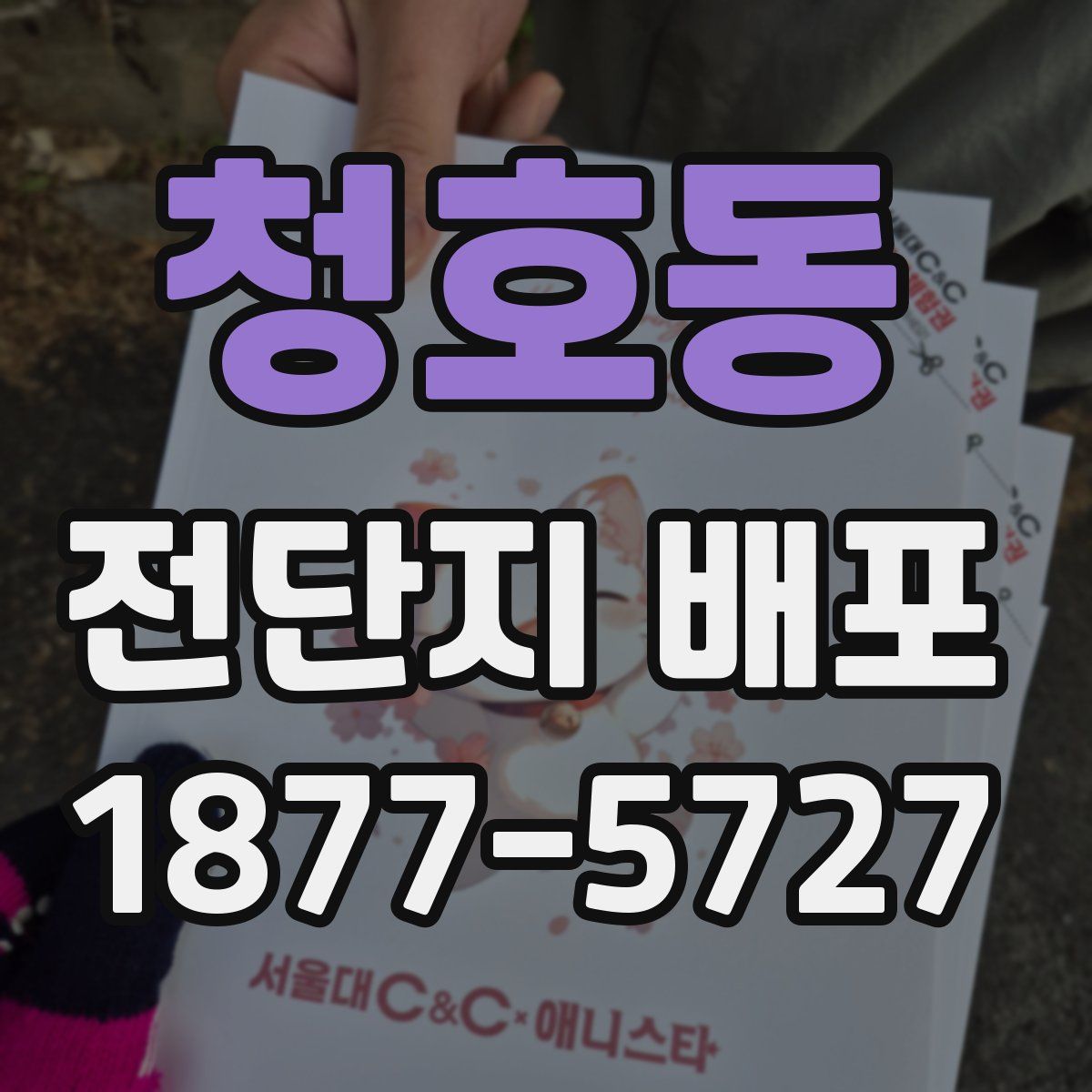 청호동 전단지 배포
