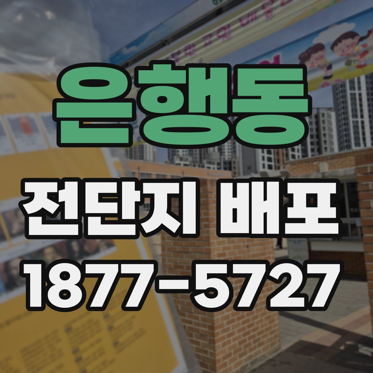 은행동 전단지 배포