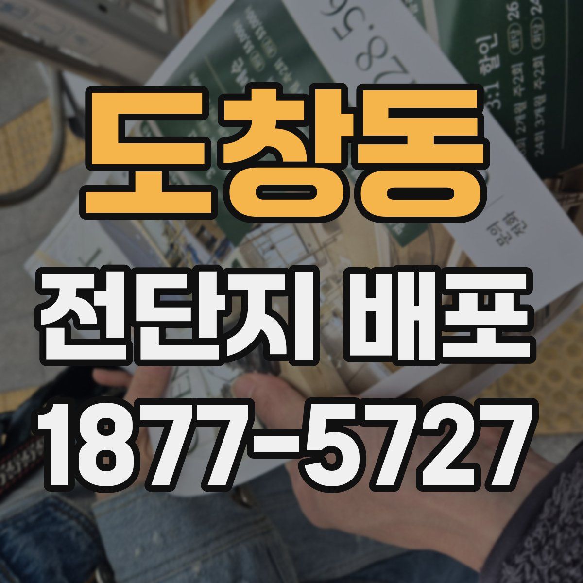 도창동 전단지 배포