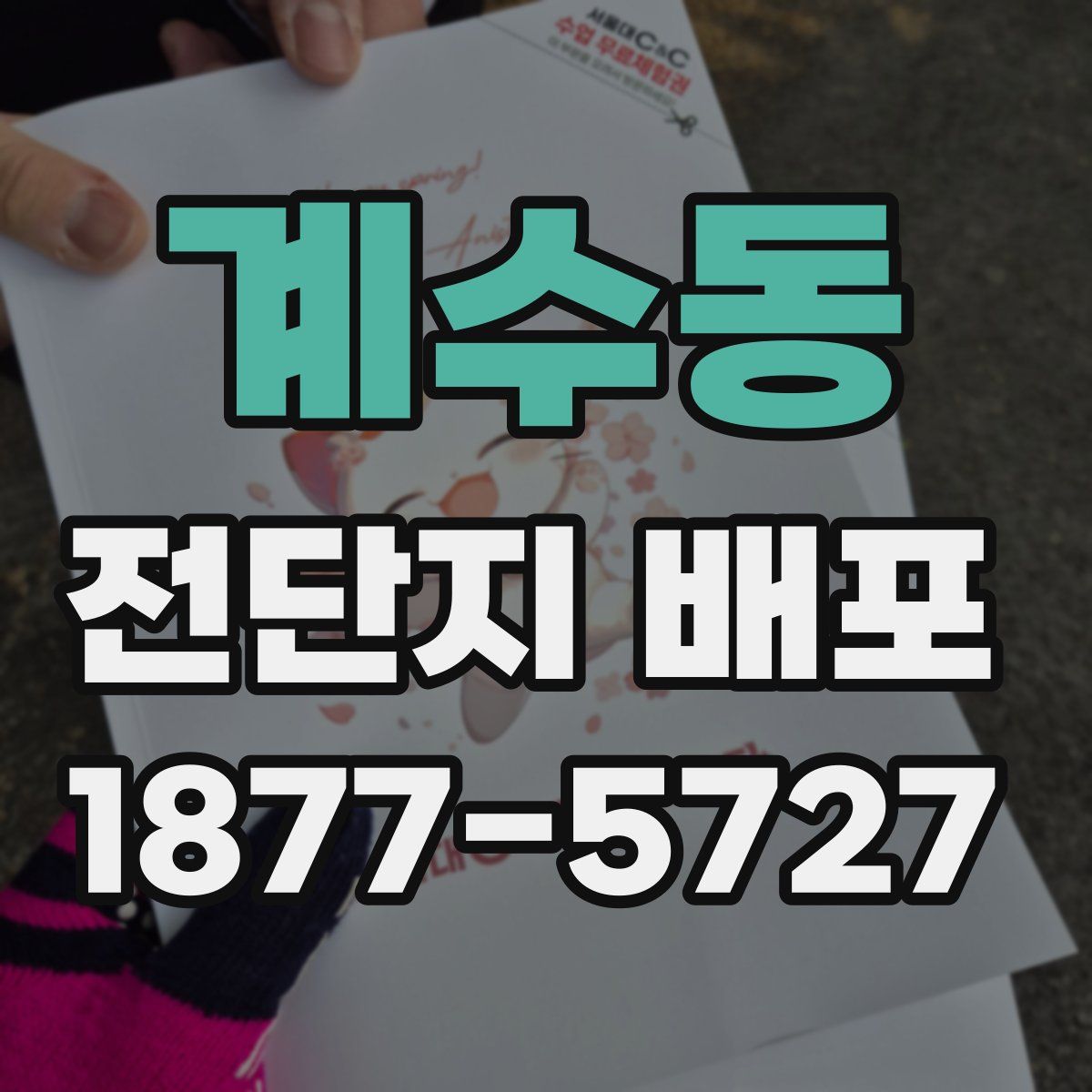 계수동 전단지 배포