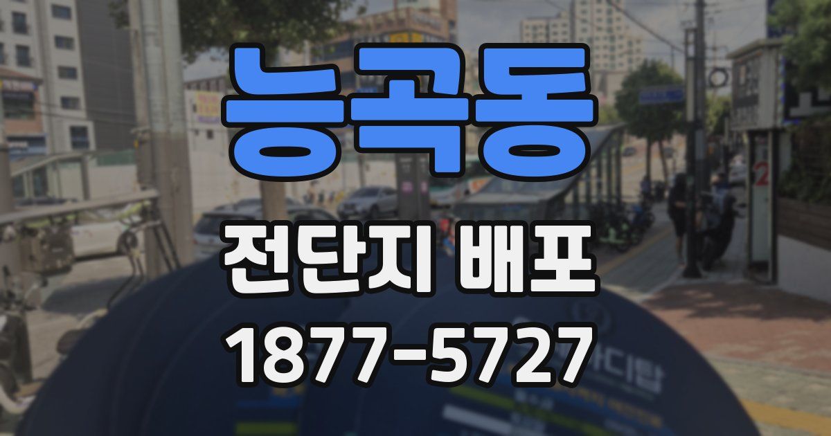 능곡동 전단지 배포