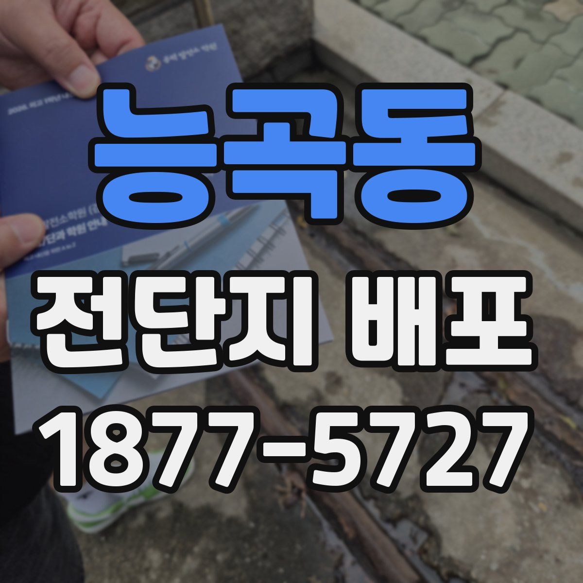 능곡동 전단지 배포