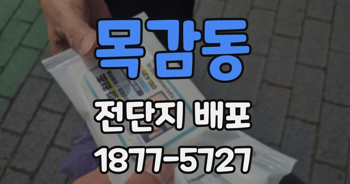 목감동 전단지 배포