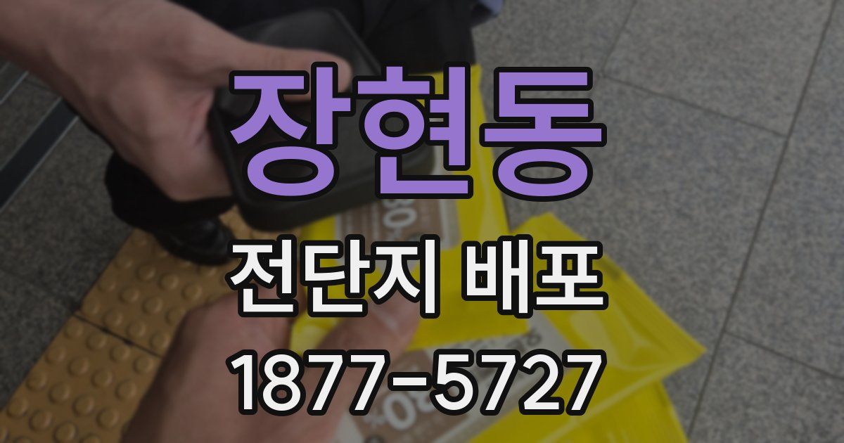 장현동 전단지 배포