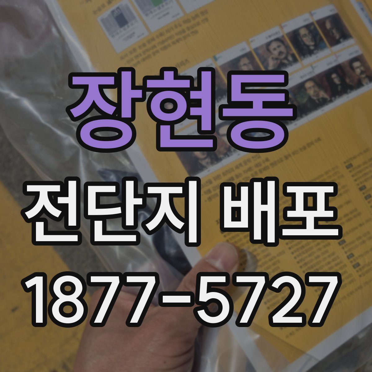 장현동 전단지 배포