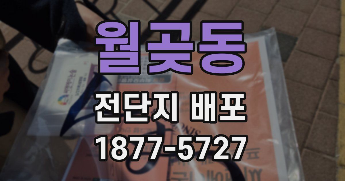 월곶동 전단지 배포