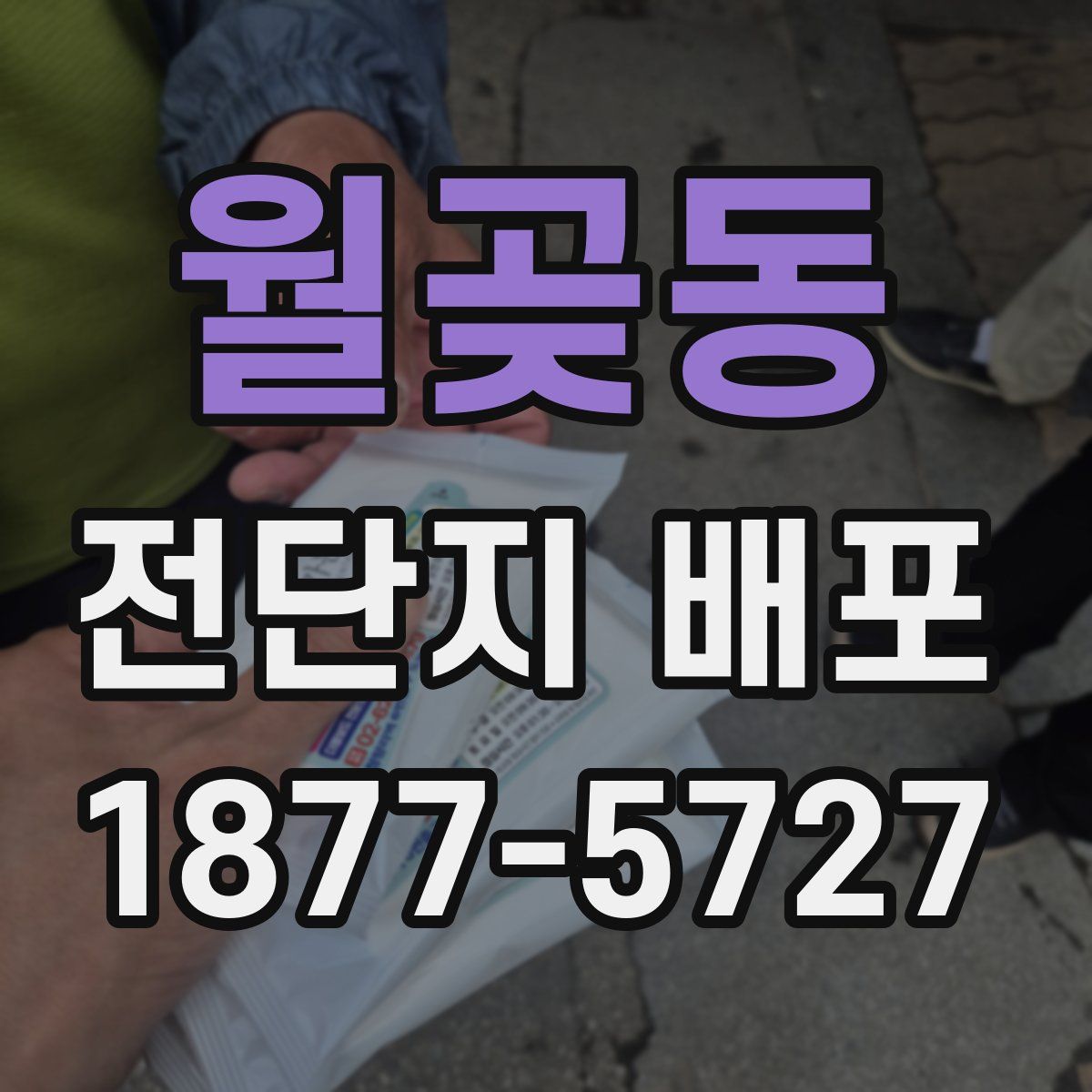 월곶동 전단지 배포