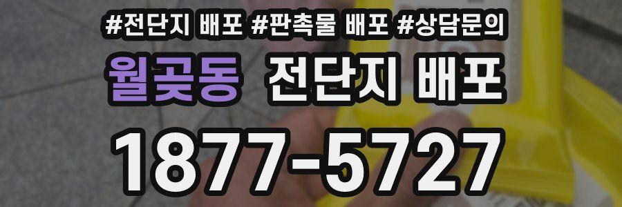 월곶동 전단지 배포