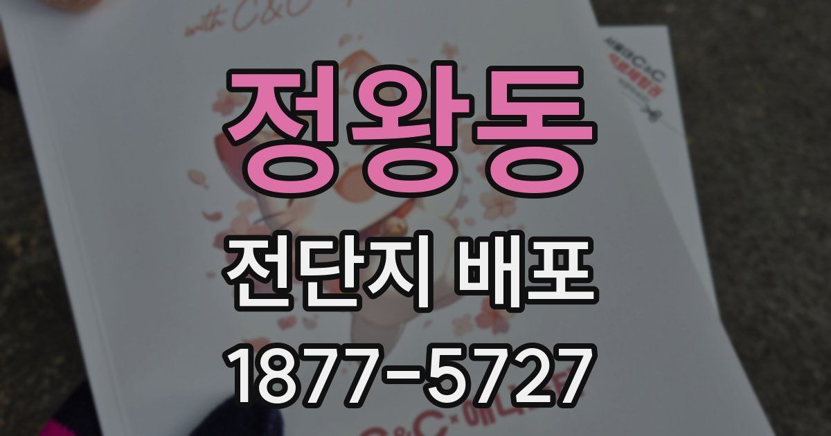 정왕동 전단지 배포