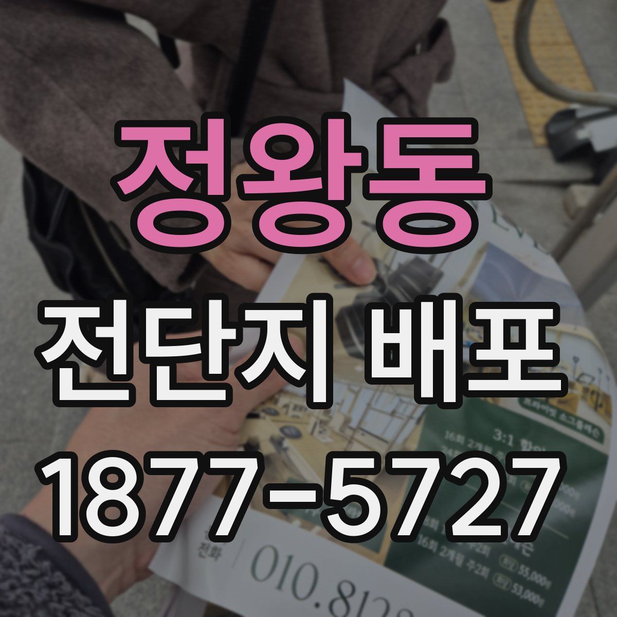 정왕동 전단지 배포