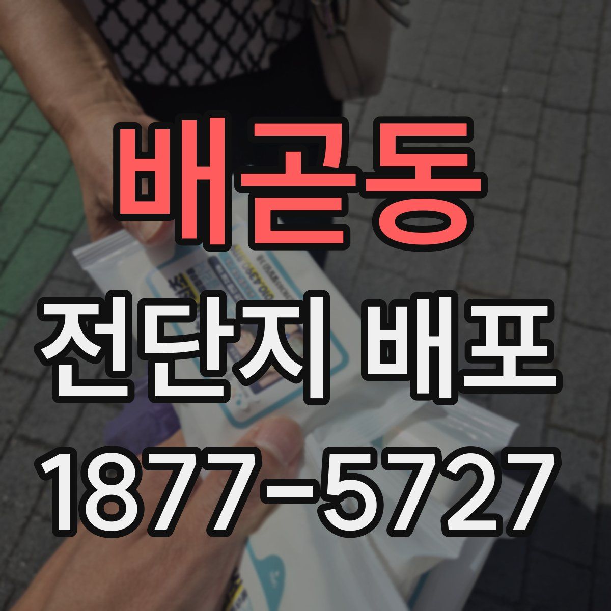 배곧동 전단지 배포