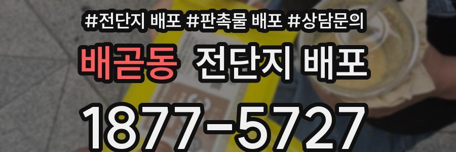 배곧동 전단지 배포
