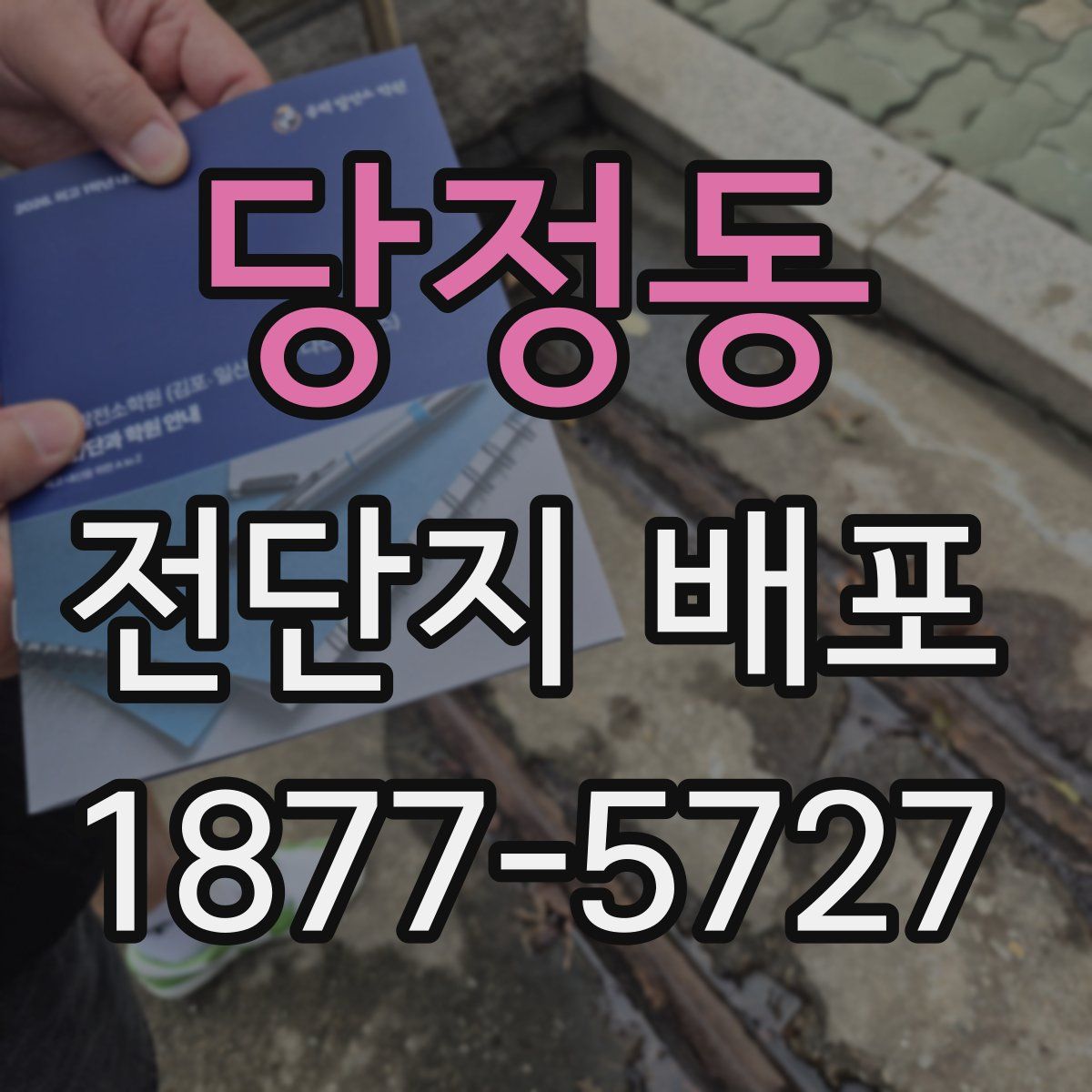 당정동 전단지 배포