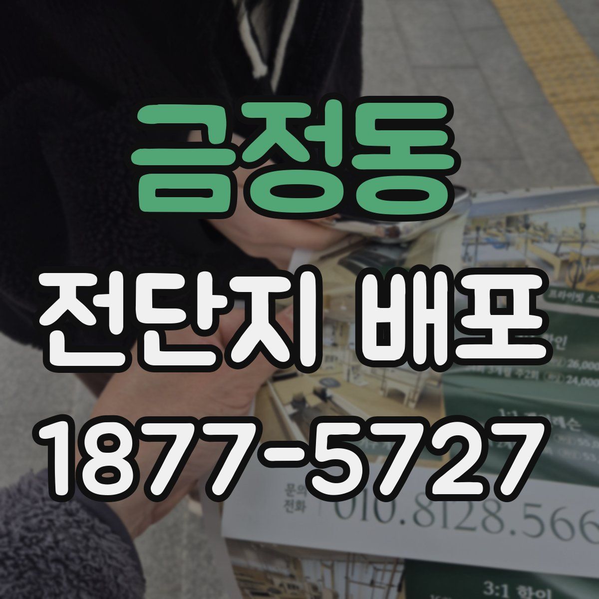 금정동 전단지 배포