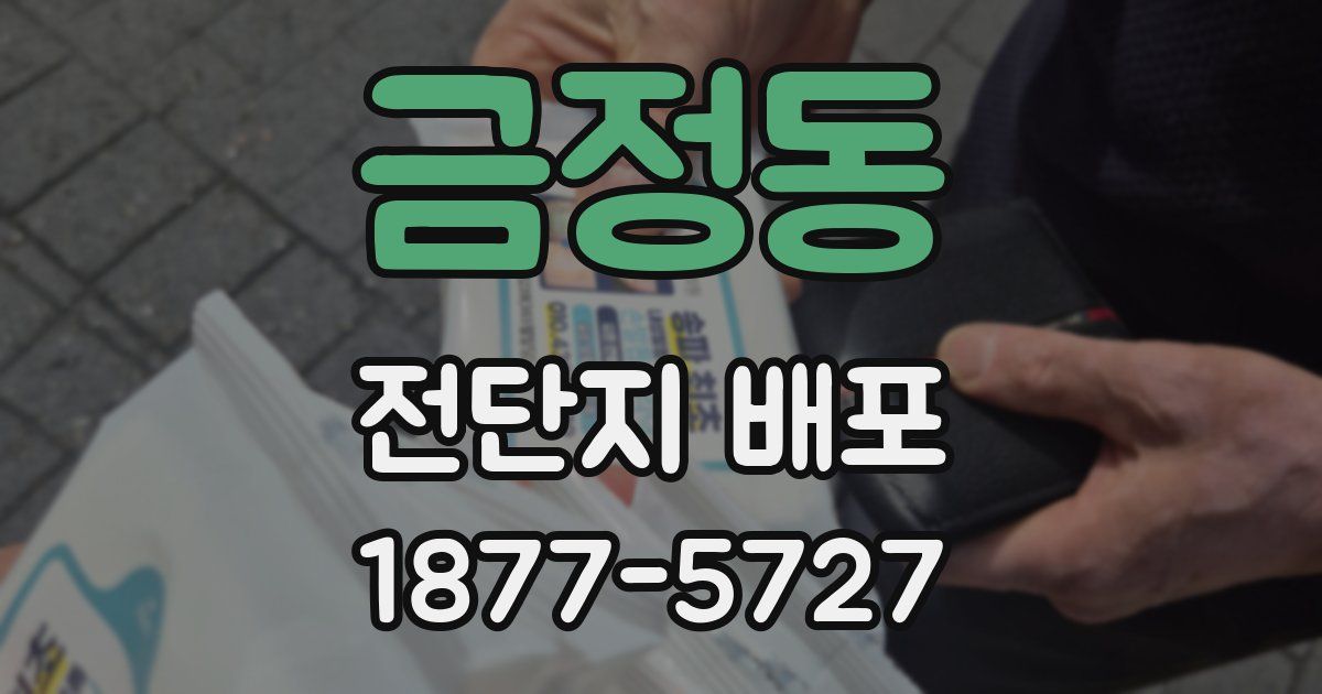 금정동 전단지 배포