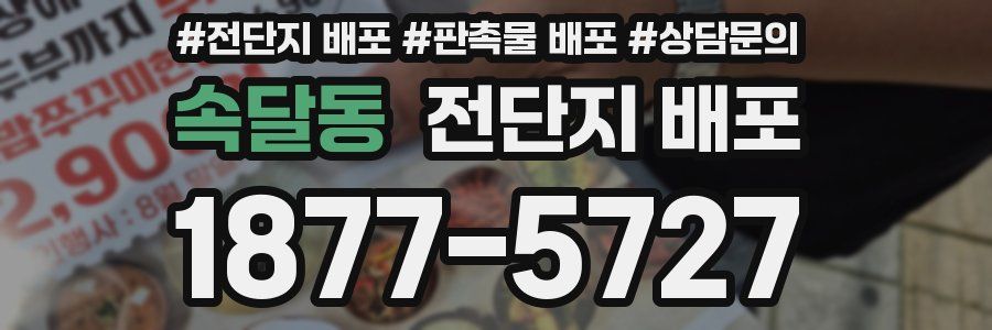 속달동 전단지 배포