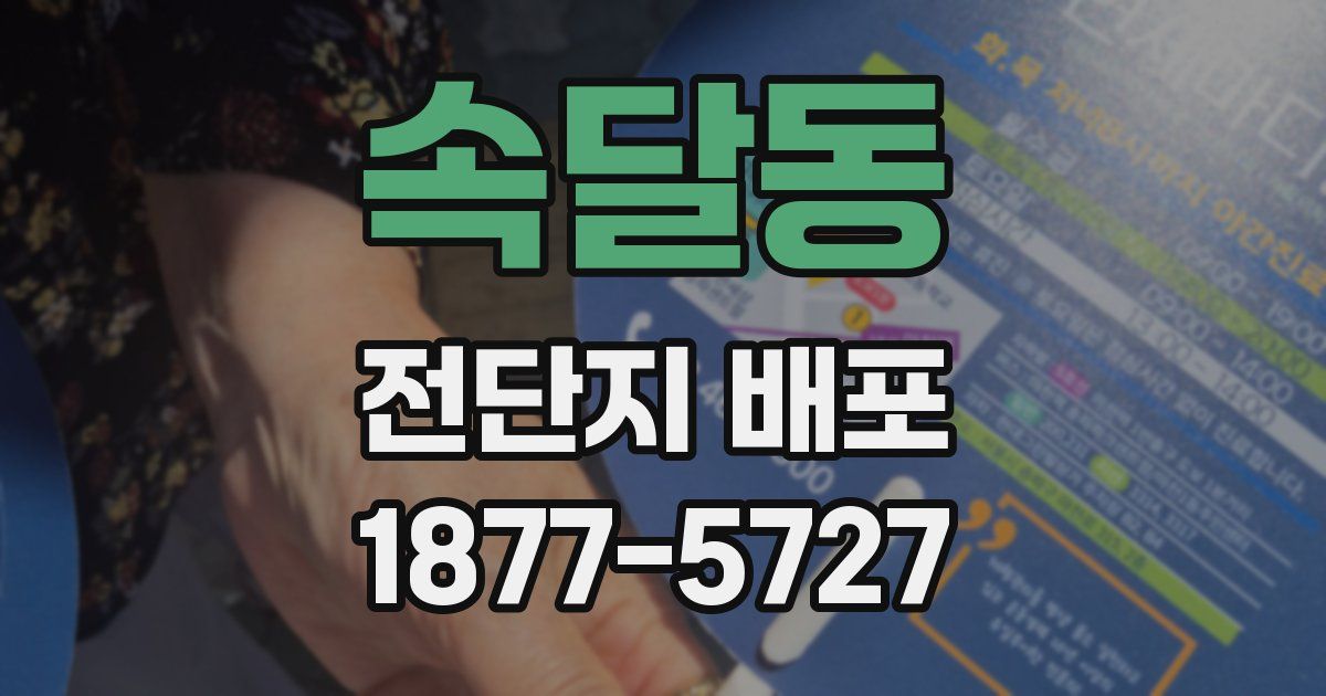 속달동 전단지 배포