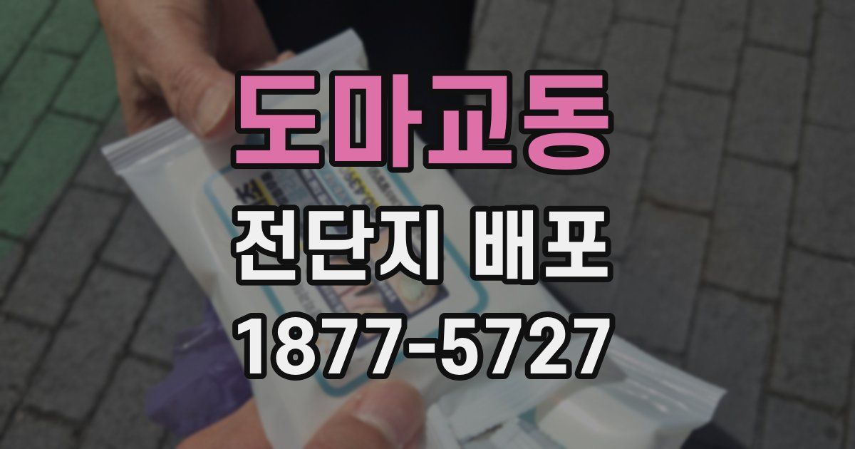 도마교동 전단지 배포