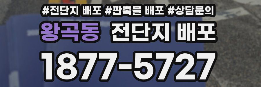 왕곡동 전단지 배포