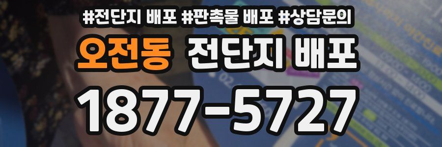 오전동 전단지 배포