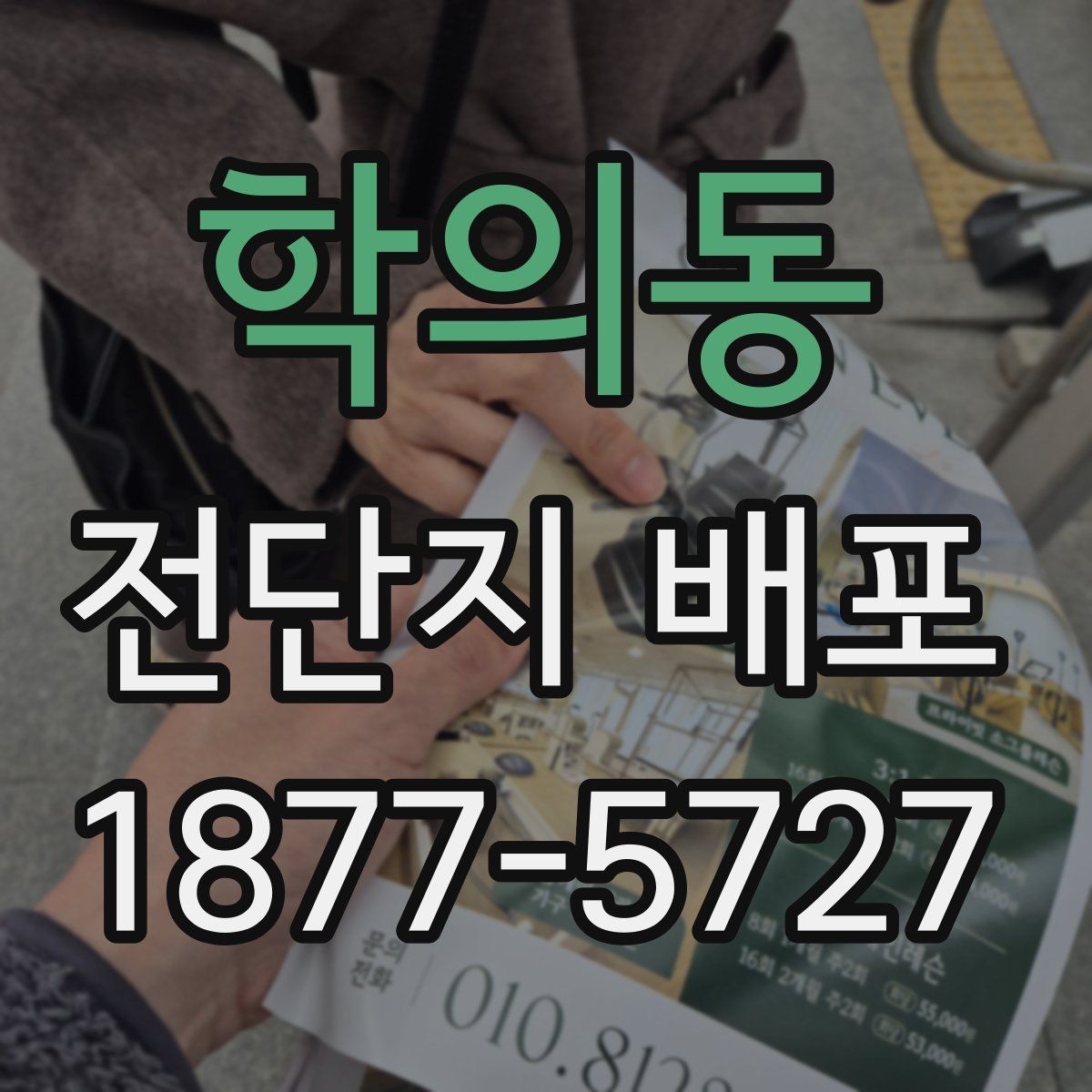 학의동 전단지 배포