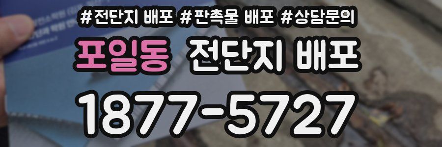 포일동 전단지 배포