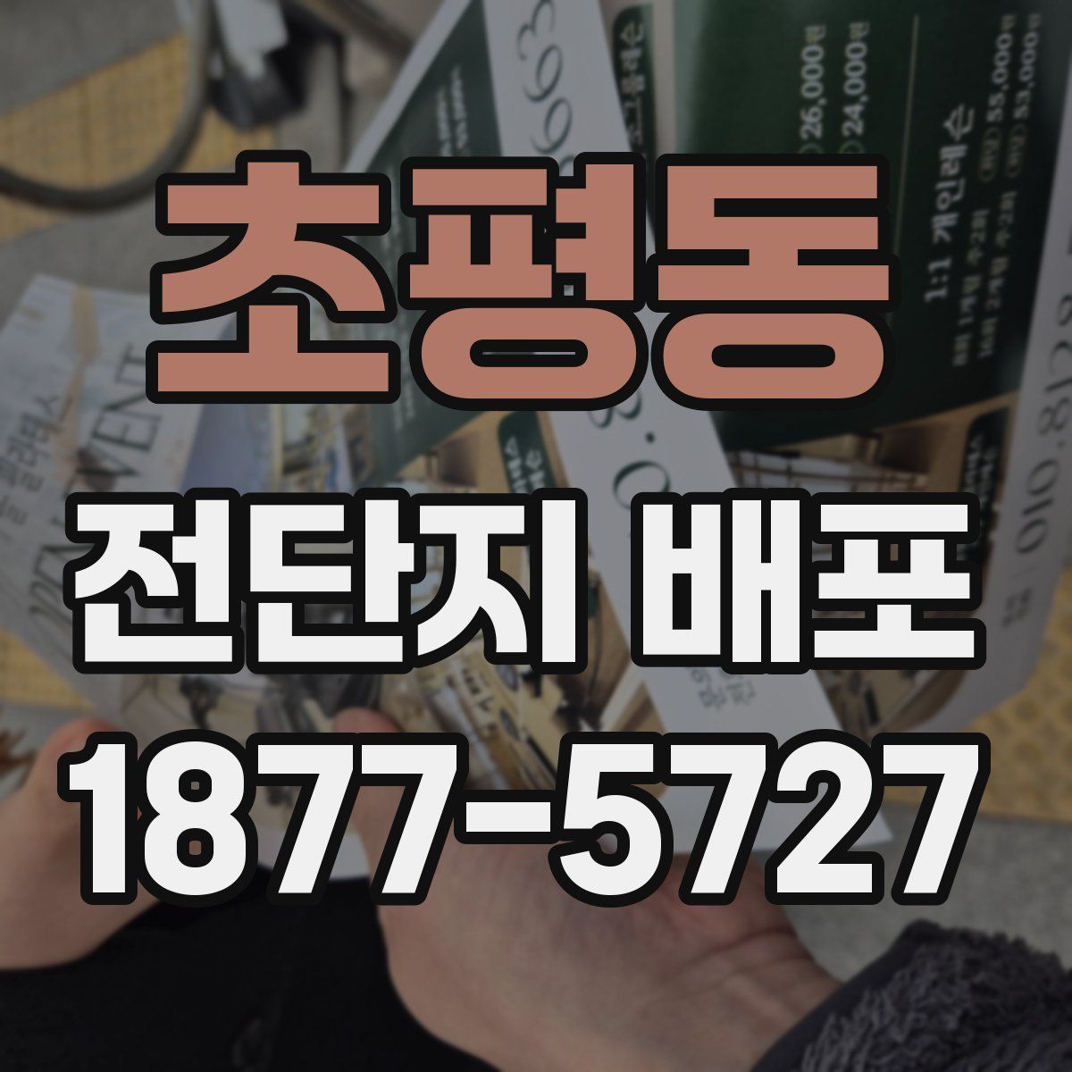 초평동 전단지 배포
